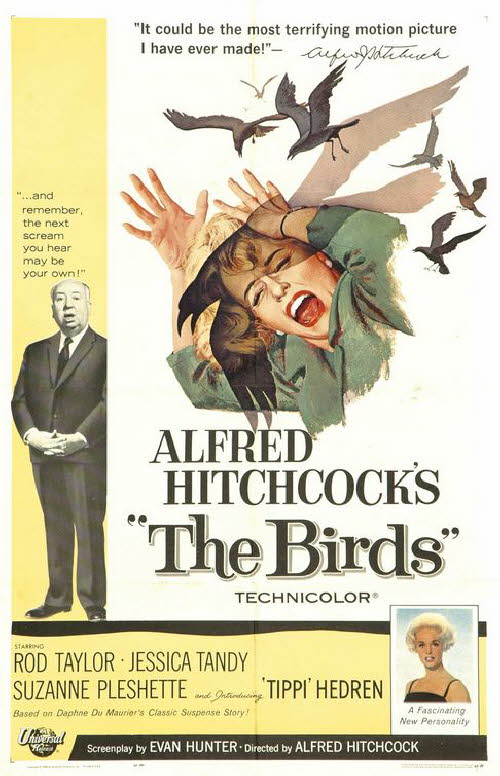 birds